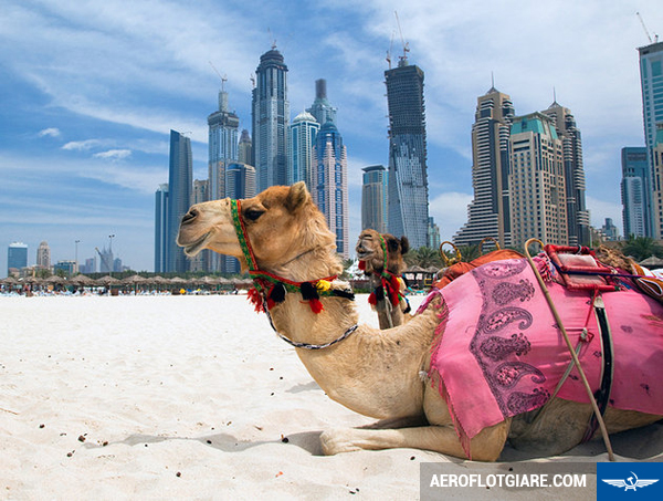 Điểm nóng du lịch United Arab Emirates