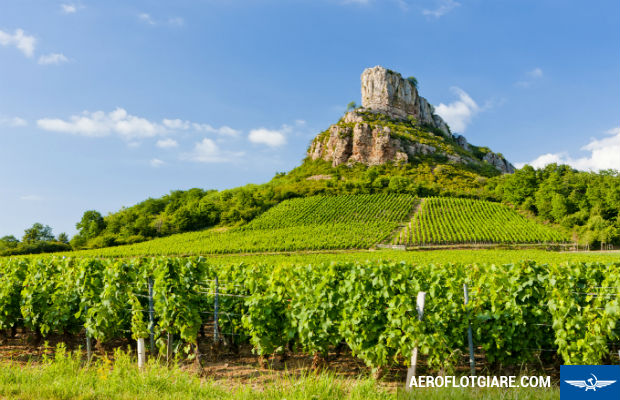 Những vườn nho nổi tiếng nhất Bordeaux nước Pháp