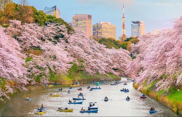 Tokyo - Thủ đô của xứ sở hoa anh đào