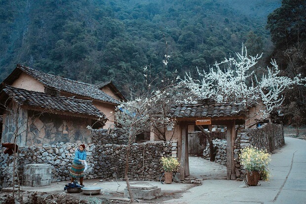 Địa điểm du lịch Hà Giang - làng văn hóa Lũng Cẩm