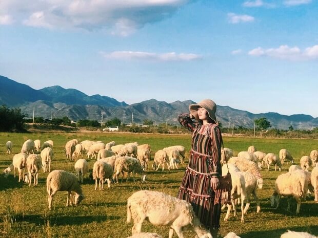 Địa điểm du lịch Ninh Thuận - đổng cừu An Hòa
